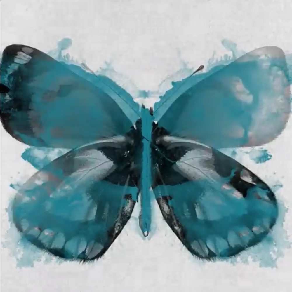 Meet your Posher, Shiran